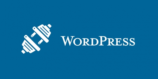 wordpress-plugin-development